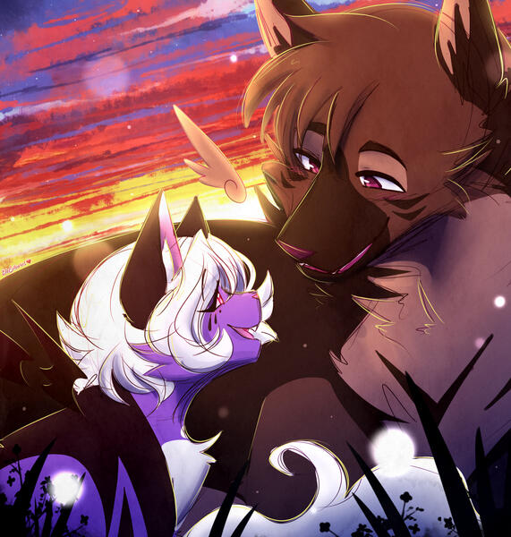 When the Day Met the Night